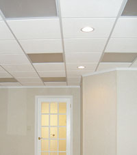 Bat Remodeling Finishing Products In Syracuse Binghamton Bat Ceiling Tiles For A Project We Worked On In Endicott New York