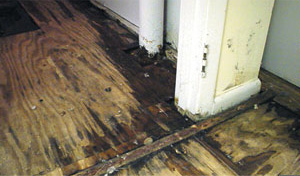 Basement Wood Subfloor with Mold and Rotting Issues