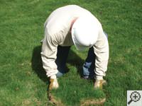 Restoring the landscaping by replacing removed sod on the ground for a Henrietta home.