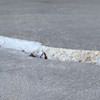 Slab floor cracks showing in a Geneva home
