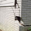 foundation walls cracked due to settlement in Syracuse