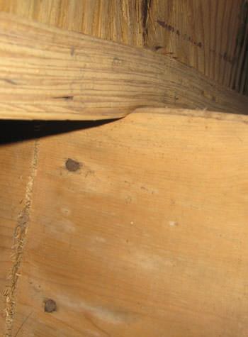 severe damage to a crawl space structure in a Penfield home