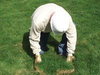 Restoring the landscaping by replacing removed lawn sections for a Clay home.